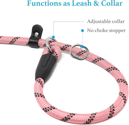 Premium Baby Pink Slip Lead Dog Leash with Padded Handle - Reflective, No Pull Training Solution for Small Dogs (3/8" x 6 FT)